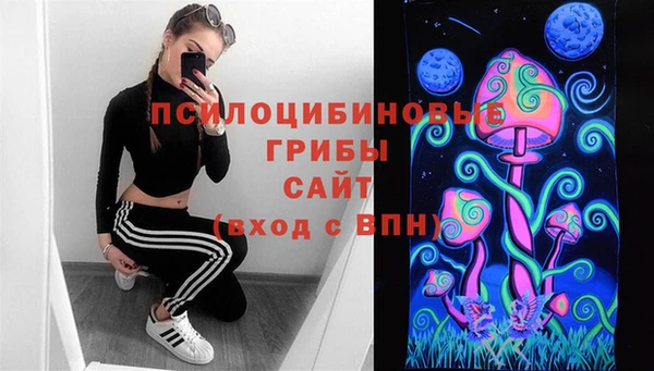дживик Алзамай